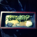 tiroir-shrine-lune